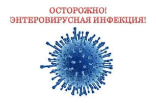 Энтеровирусная инфекция Энтеровирусная инфекция.
